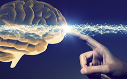 Pós-Graduação em Neurociência aplicada à Educação Pós-Graduação em Neurociência aplicada à Educação